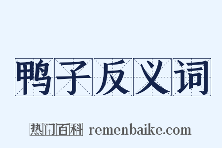 鸭子反义词是什么意思的图片